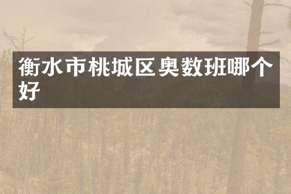 衡水市桃城区奥数班哪个好