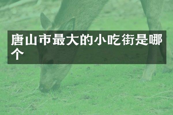 唐山市最大的小吃街是哪个