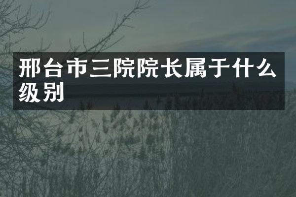 邢台市三院院长属于什么级别