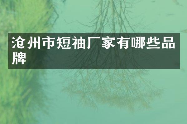 沧州市短袖厂家有哪些品牌