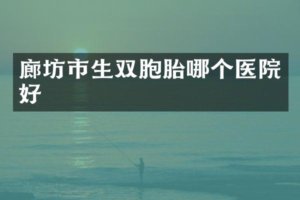 廊坊市生双胞胎哪个医院好