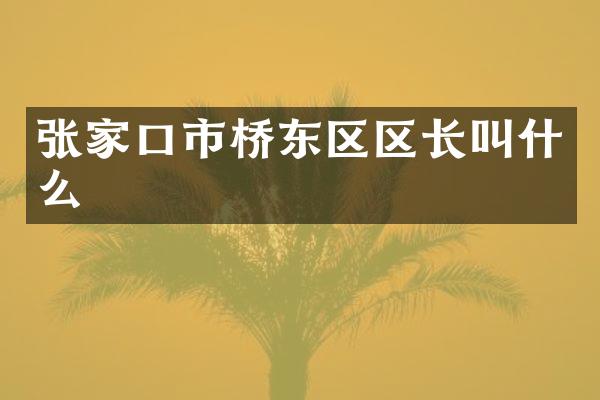 张家口市桥东区区长叫什么