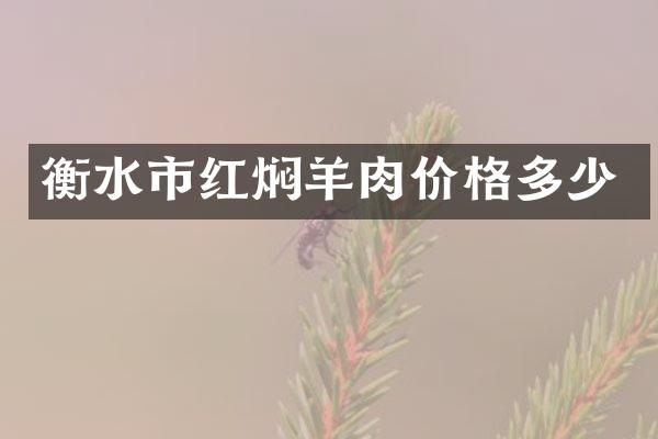 衡水市红焖羊肉价格多少