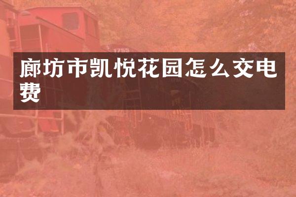廊坊市凯悦花园怎么交电费