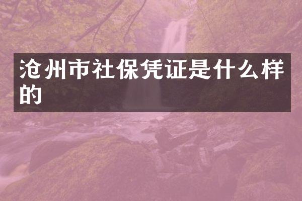 沧州市社保凭证是什么样的
