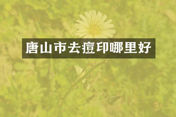 唐山市去痘印哪里好