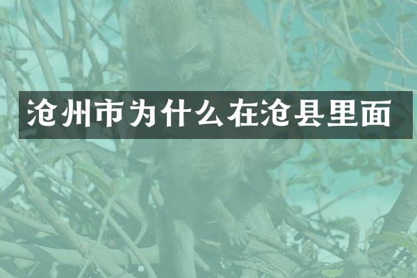 沧州市为什么在沧县里面