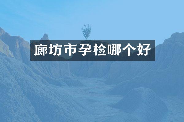 廊坊市孕检哪个好