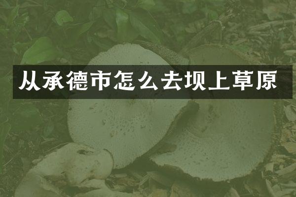 从承德市怎么去坝上草原