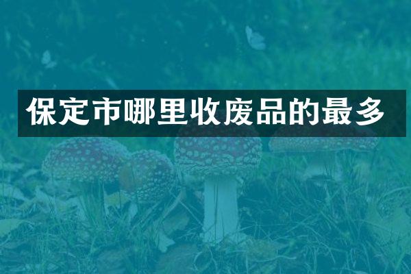 保定市哪里收废品的最多