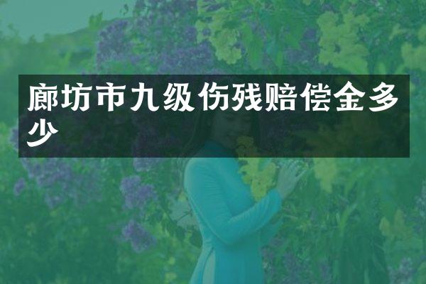 廊坊市九级伤残赔偿金多少