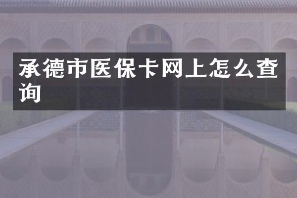 承德市医保卡网上怎么查询