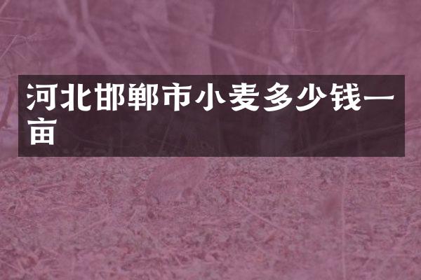 河北邯郸市小麦多少钱一亩