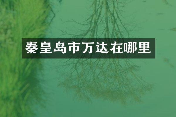 秦皇岛市万达在哪里