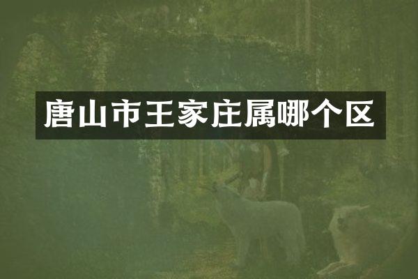 唐山市王家庄属哪个区