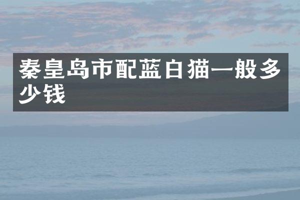 秦皇岛市配蓝白猫一般多少钱