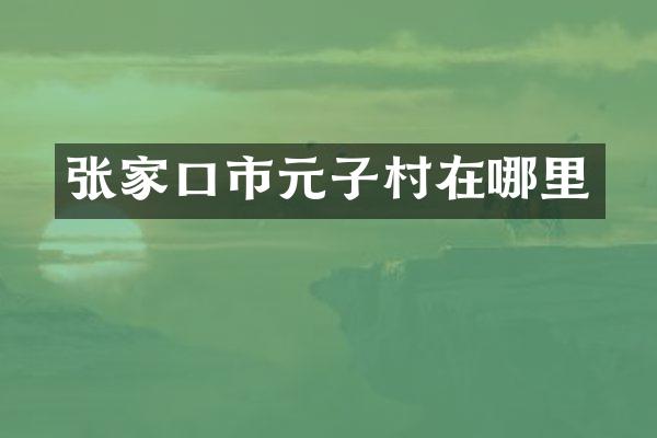 张家口市元子村在哪里