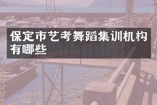 保定市艺考舞蹈集训机构有哪些