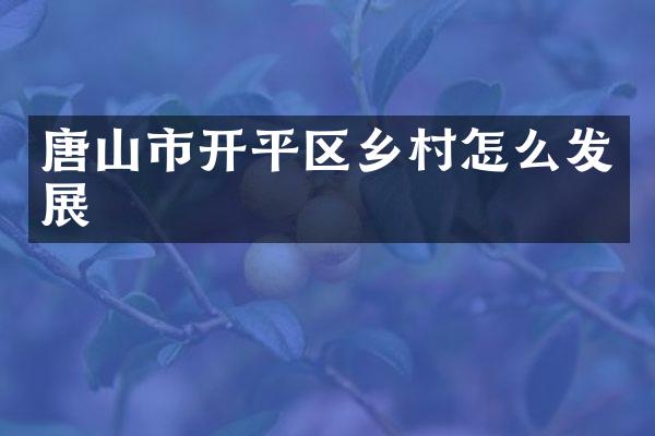 唐山市开平区乡村怎么发展