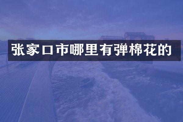 张家口市哪里有弹棉花的
