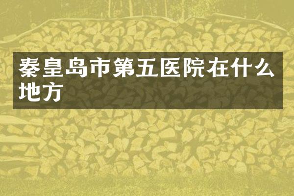 秦皇岛市第五医院在什么地方