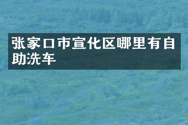 张家口市宣化区哪里有自助洗车