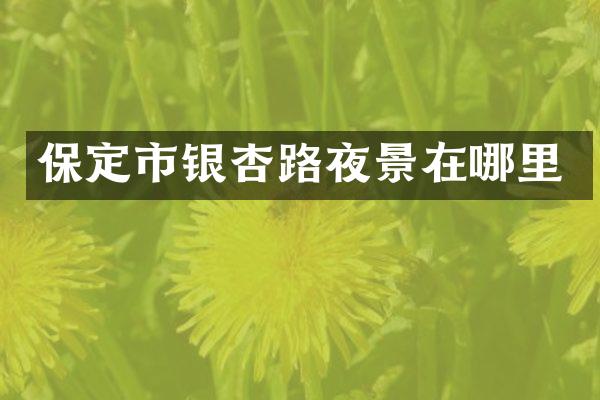 保定市银杏路夜景在哪里