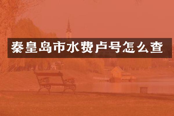秦皇岛市水费卢号怎么查