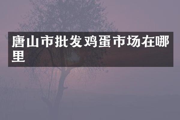 唐山市批发鸡蛋市场在哪里