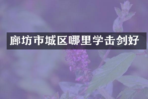廊坊市城区哪里学击剑好