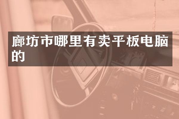 廊坊市哪里有卖平板电脑的