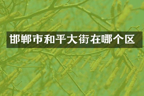 邯郸市和平大街在哪个区