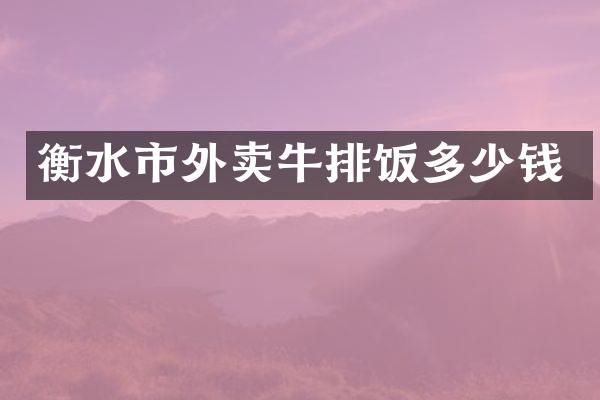 衡水市外卖牛排饭多少钱
