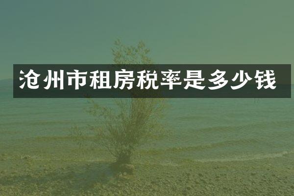 沧州市租房税率是多少钱