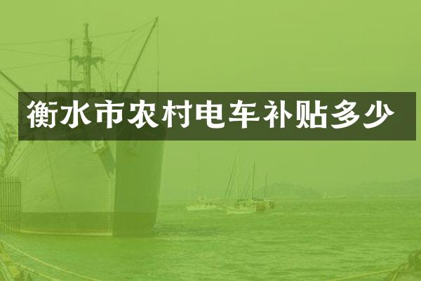 衡水市农村电车补贴多少