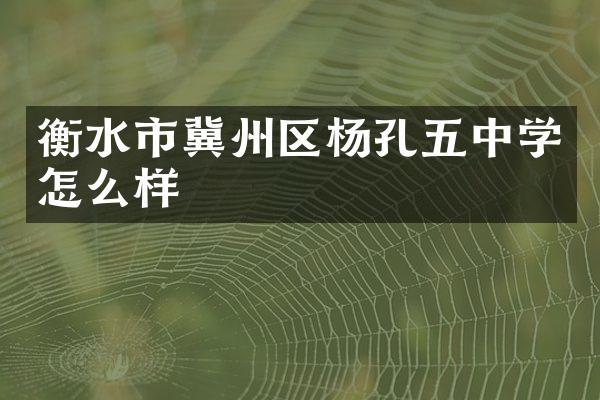 衡水市冀州区杨孔五中学怎么样