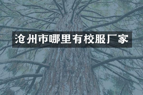 沧州市哪里有校服厂家