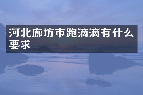 河北廊坊市跑滴滴有什么要求