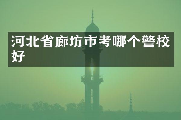 河北省廊坊市考哪个警校好