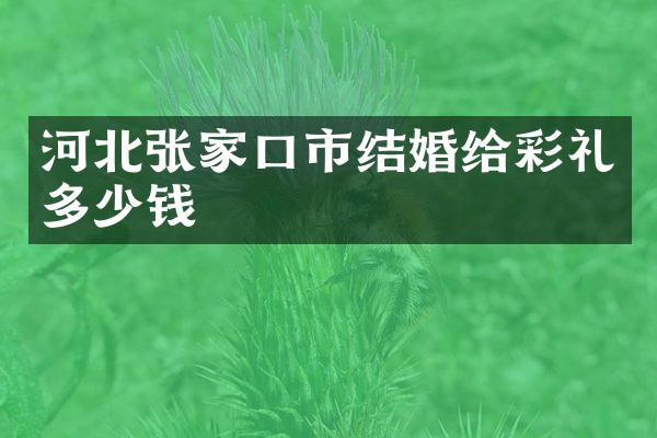 河北张家口市结婚给彩礼多少钱