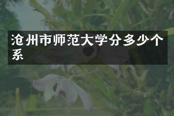 沧州市师范大学分多少个系