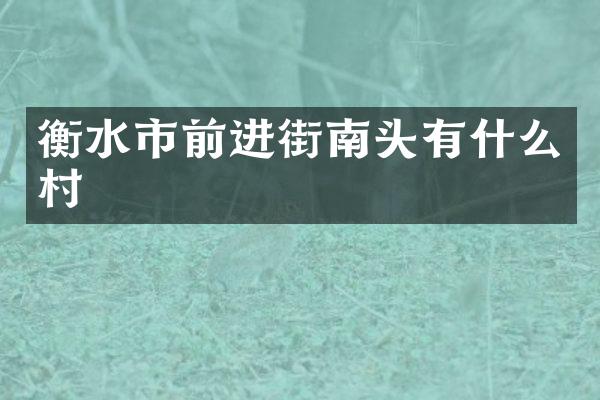 衡水市前进街南头有什么村