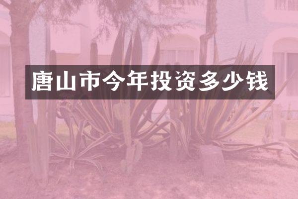 唐山市今年投资多少钱