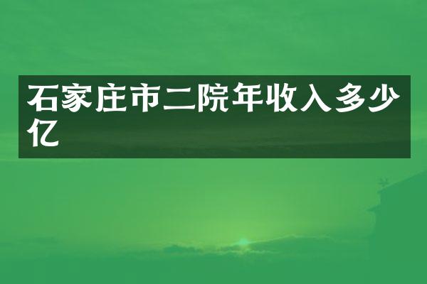 石家庄市二院年收入多少亿