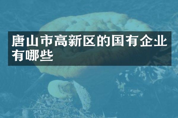 唐山市高新区的国有企业有哪些