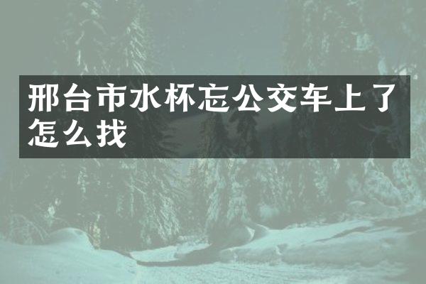 邢台市水杯忘公交车上了怎么找