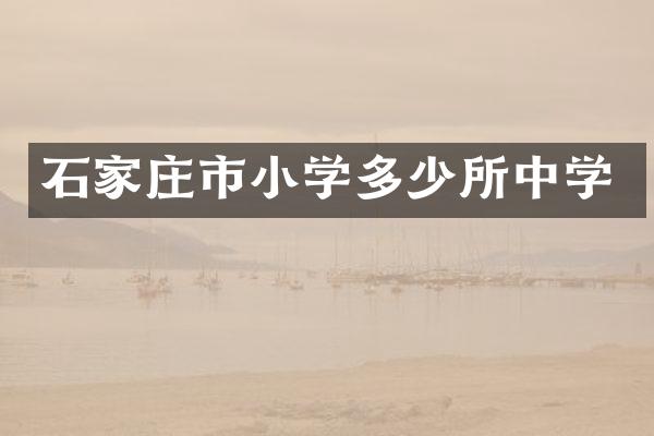 石家庄市小学多少所中学