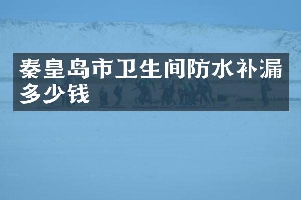 秦皇岛市卫生间防水补漏多少钱