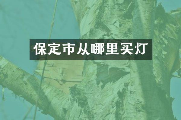 保定市从哪里买灯