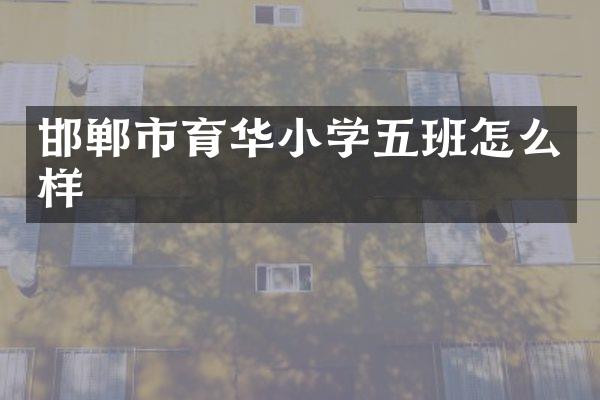 邯郸市育华小学五班怎么样